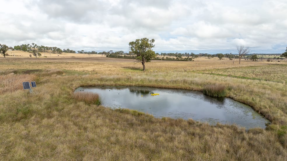 Click to view all images 261-335 Bundarra Road Armidale NSW 2350 - Image 3