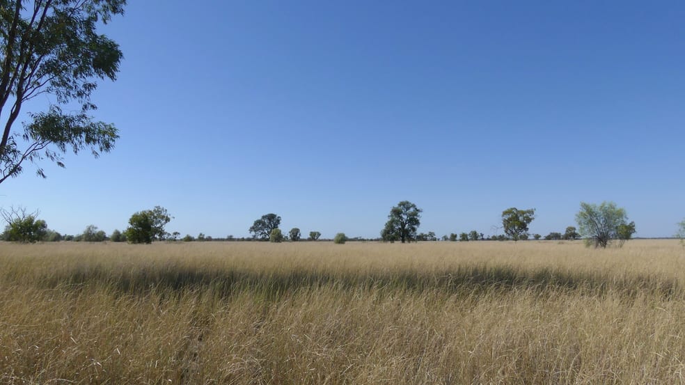 Click to view all images . Gradgery Lane Warren NSW 2824 - Image 2