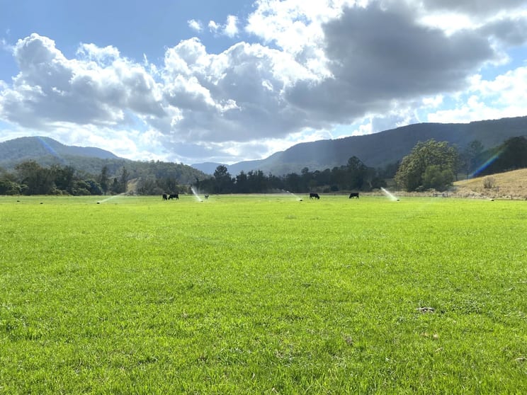 Click to view all images Lot 48 Back Creek Road Kyogle NSW 2474 - Image 3