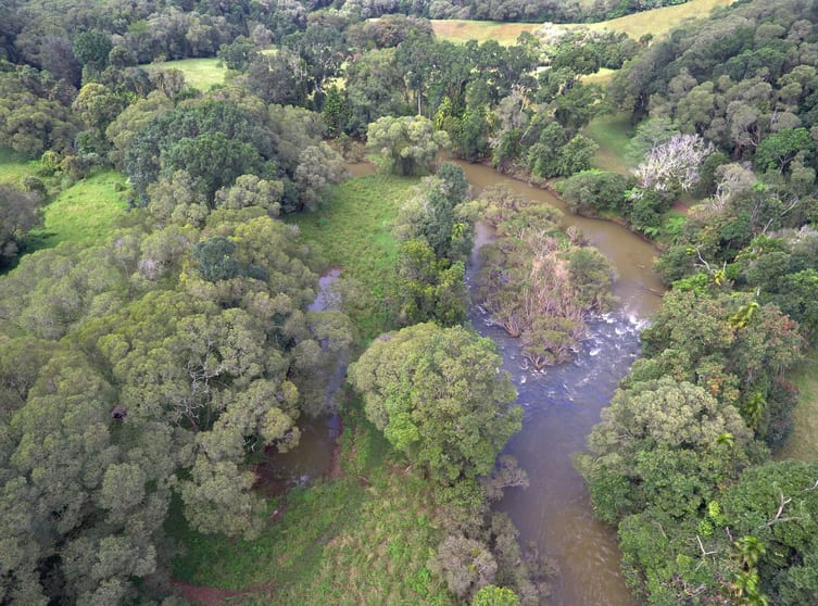 RN928 Glen Allyn Rd Malanda QLD 4885 - Image 2