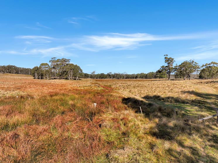 Click to view all images Lot 238 Rosehill Road Bombala NSW 2632 - Image 3