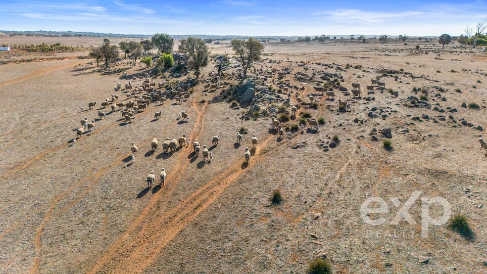Lot 91 Oak Grove Rockleigh SA 5254 - Image 2