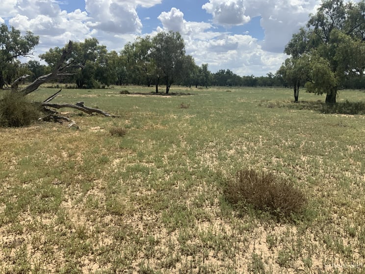 Click to view all images 8560 – 8 Arthur Hall Vc Way Gongolgon NSW 2839 - Image 3
