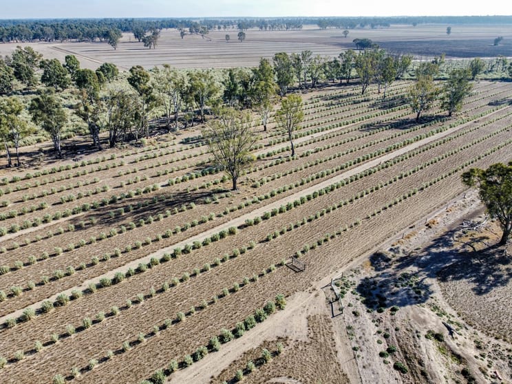 Click to view all images 410 Wearne Road Pental Island VIC 3586 - Image 3