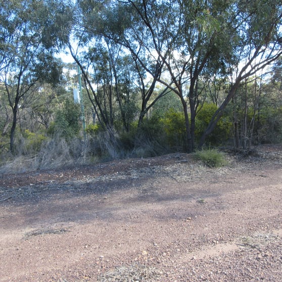 Click to view all images Lot/113 Lewington Road Tara QLD 4421 - Image 3