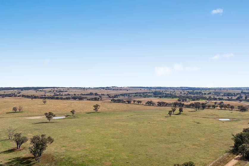 Click to view all images 128 Norah Creek Road Molong NSW 2866 - Image 2