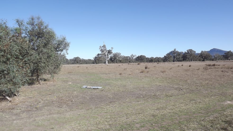 1250 Lynchs Crossing Rd Glenthompson VIC 3293 - Image 3