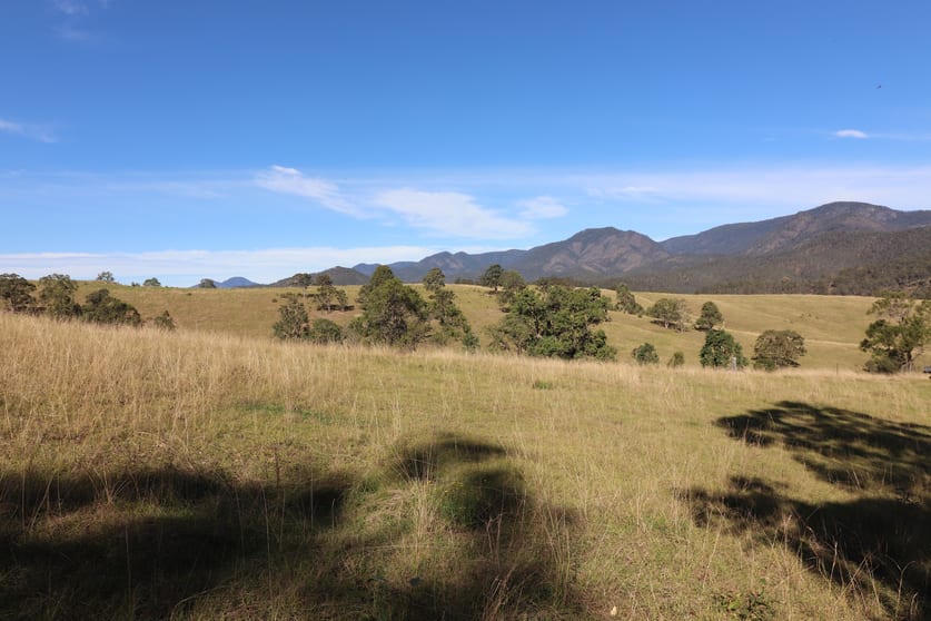 Click to view all images Lot 81/7986 Kempsey Rd Lower Creek NSW 2440 - Image 2