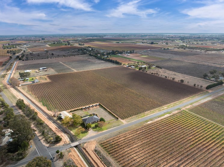 Click to view all images Lot 1 Euston Avenue Irymple VIC 3498 - Image 3