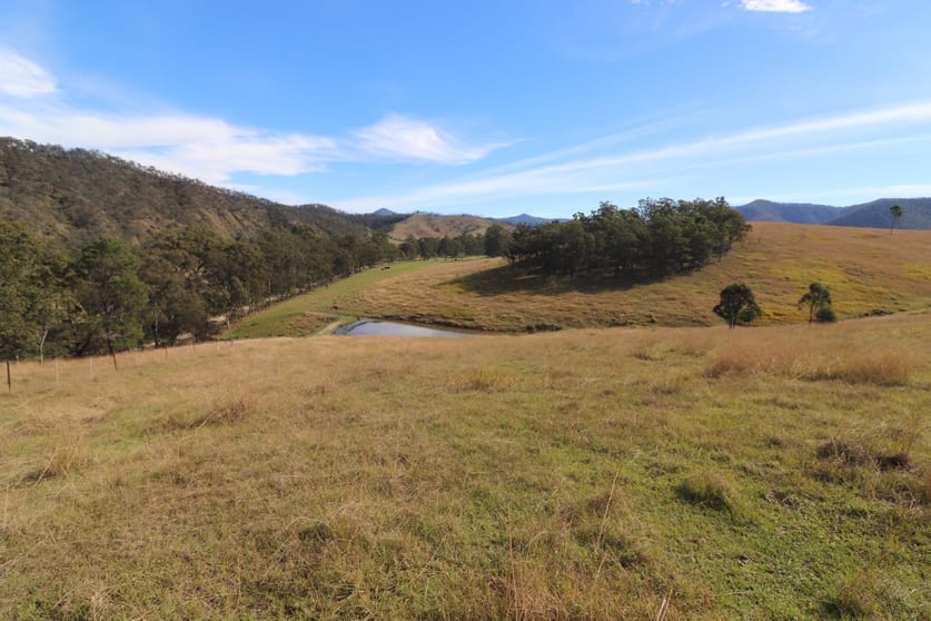 Click to view all images Lot 2/7986 Kempsey Rd Lower Creek NSW 2440 - Image 3