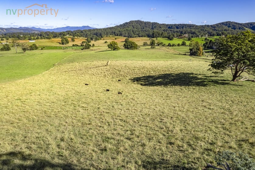 Click to view all images 126 Tewinga Lane Tewinga NSW 2449 - Image 2