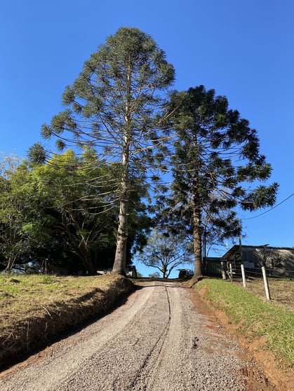 Click to view all images 263 Upper Landershute Road Landers Shoot QLD 4555 - Image 3