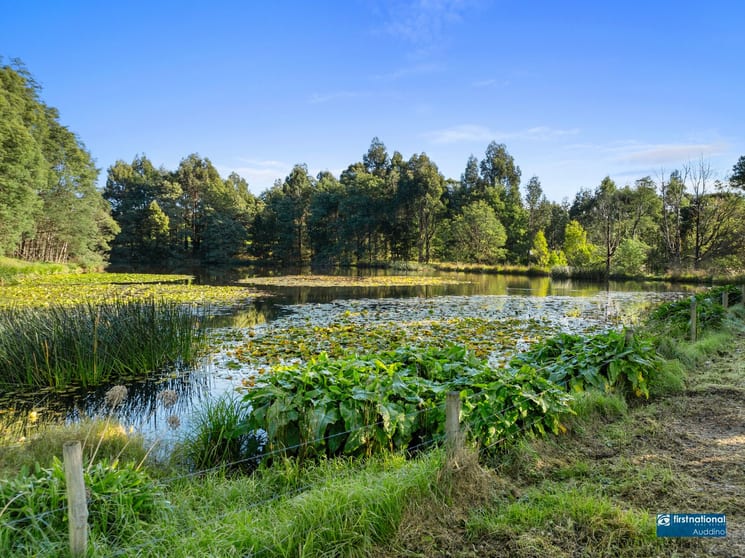 Click to view all images 70 Pincinis Lane Mirboo North VIC 3871 - Image 3