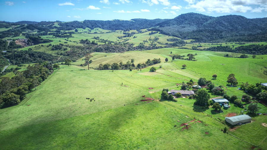 Click to view all images Dorrigo NSW 2453 - Image 3