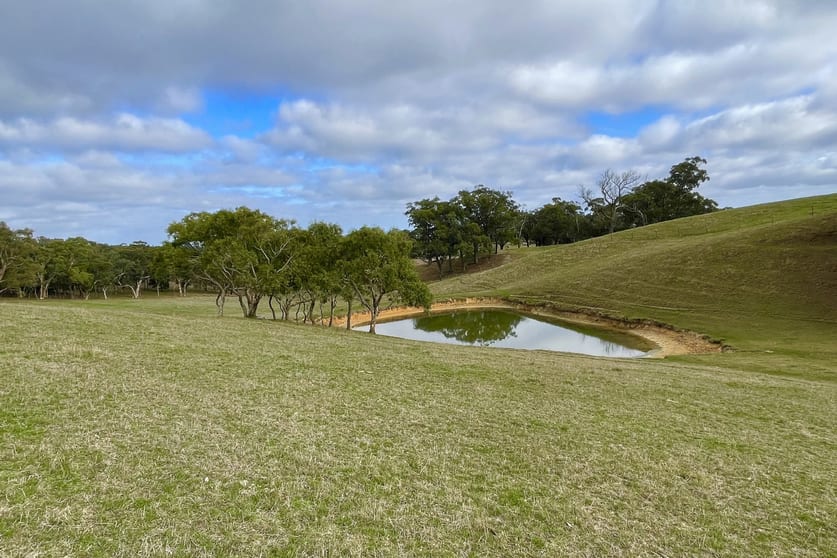 Click to view all images Lot 20 Griggs Avenue Prospect Hill SA 5201 - Image 3