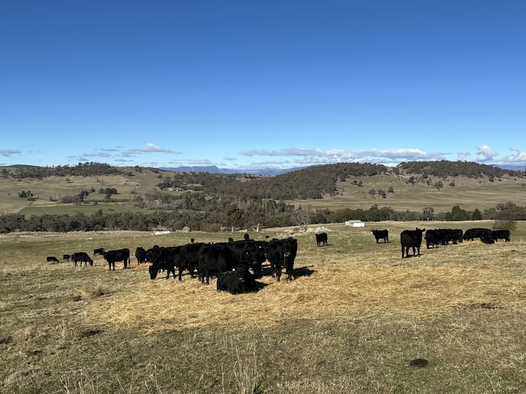 Click to view all images 739 Tooma Road Tumbarumba NSW 2653 - Image 1
