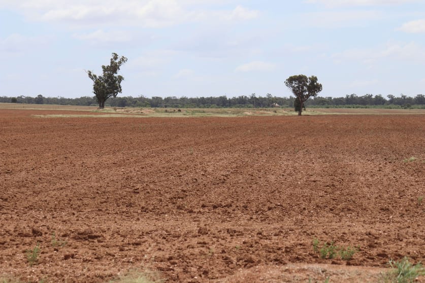 Click to view all images 523 Norris Lane West Wyalong NSW 2671 - Image 2