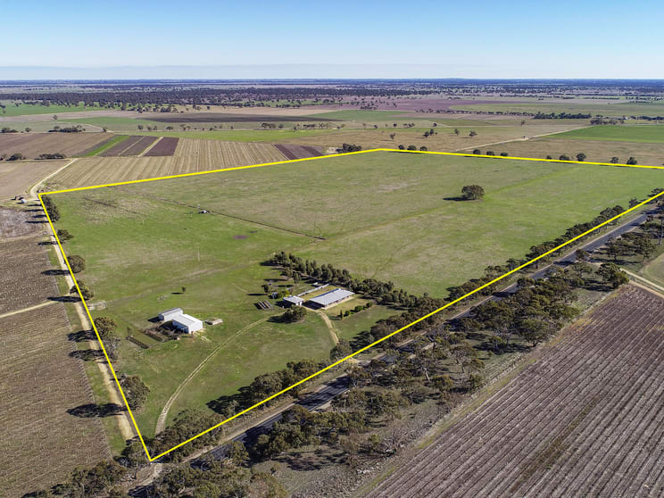 Click to view all images 5610 Riddoch Highway Padthaway SA 5271 - Image 1