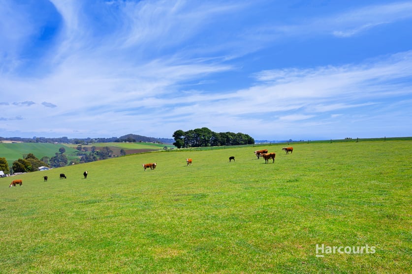 Click to view all images 201 Natone Road Stowport TAS 7321 - Image 1