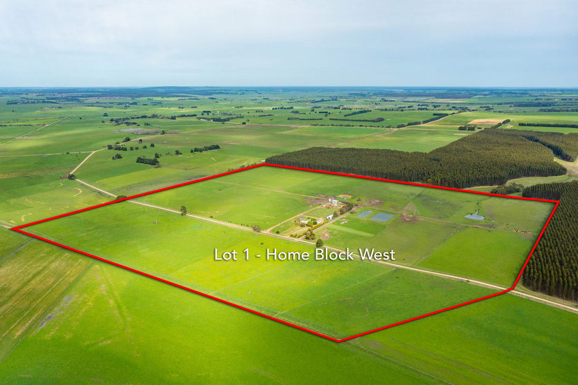 Click to view all images 124 Jaffrays Road Wallacedale VIC 3303 - Image 3