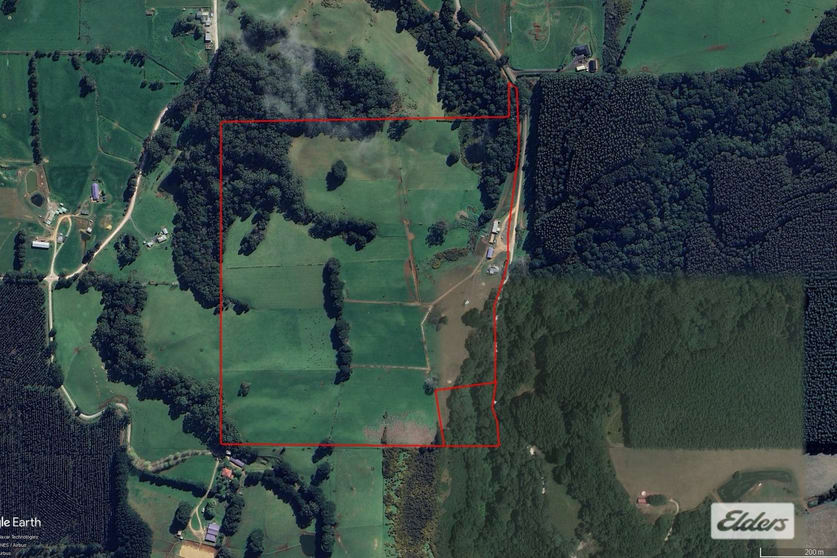 Click to view all images 184 Youngs Road Irishtown TAS 7330 - Image 1
