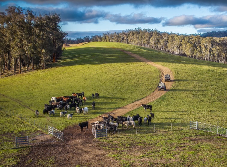 Click to view all images 'Rosewood', Geraldine Road Walcha NSW 2354 - Image 1