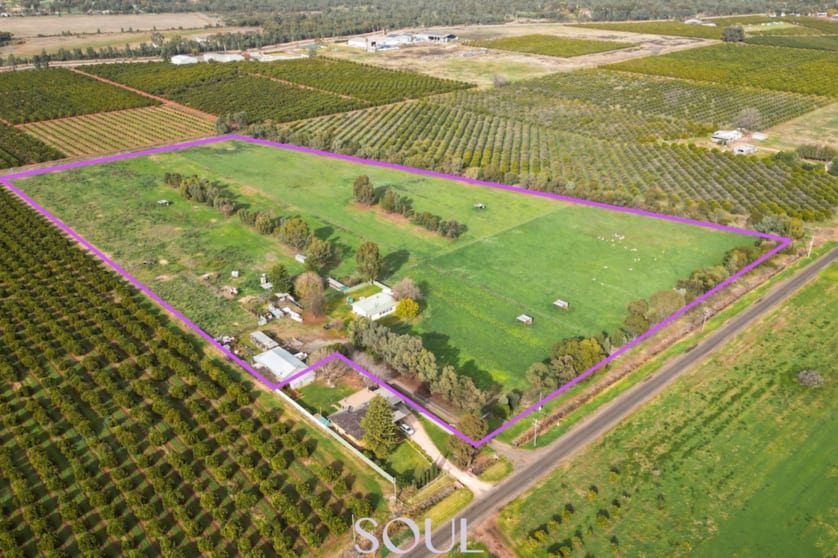 Click to view all images 118 Mccarthy Road Lake Wyangan NSW 2680 - Image 1