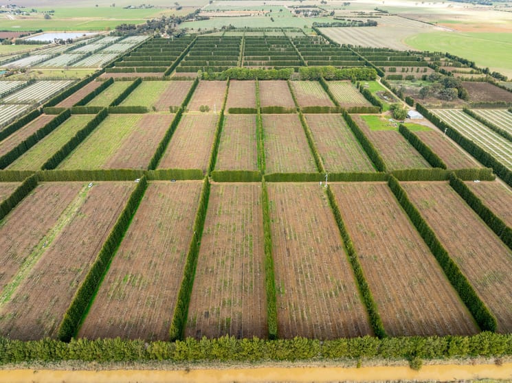 Click to view all images Bunbartha VIC 3634 - Image 1