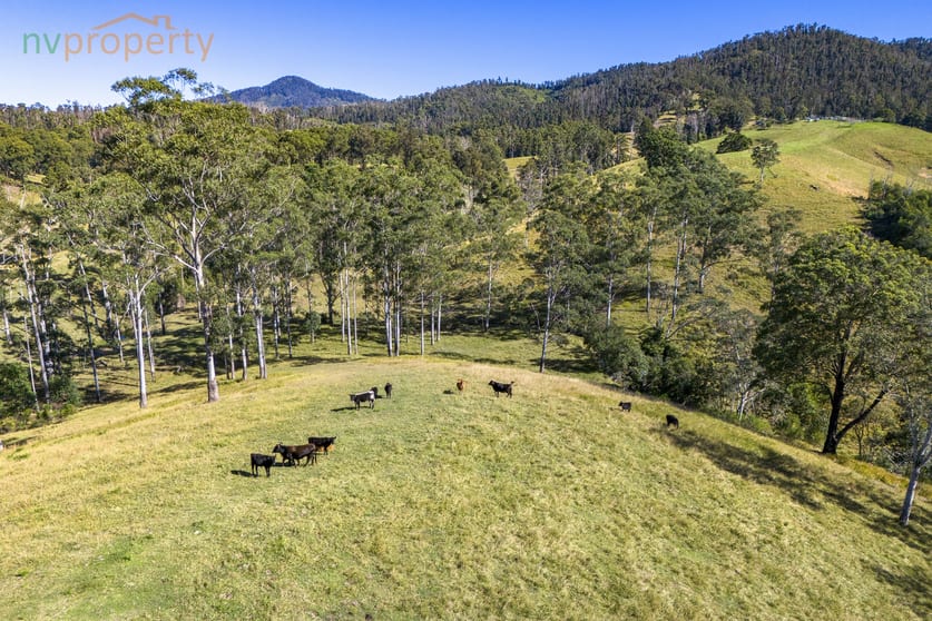 Click to view all images 173 Lemans Road Yarranbella NSW 2447 - Image 3