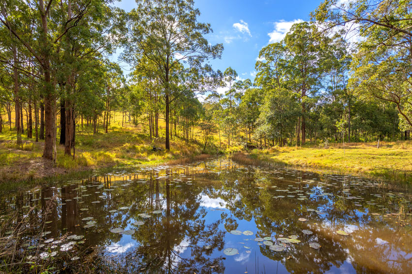 Click to view all images 5865 The Bucketts Way Bootawa NSW 2430 - Image 2