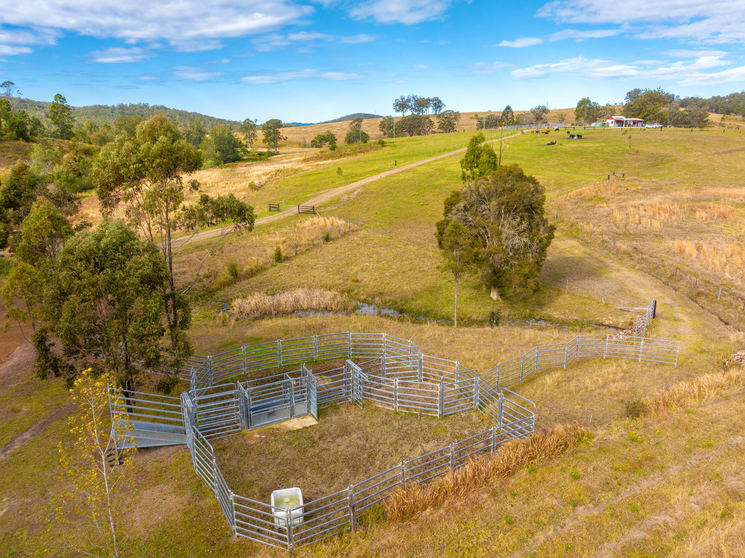 Click to view all images 292 Beitibombi Creek Road Wherrol Flat NSW 2429 - Image 3