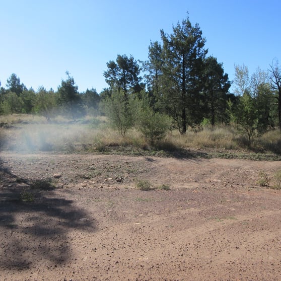 Click to view all images Lot 37 Gazzards Road Tara QLD 4421 - Image 2