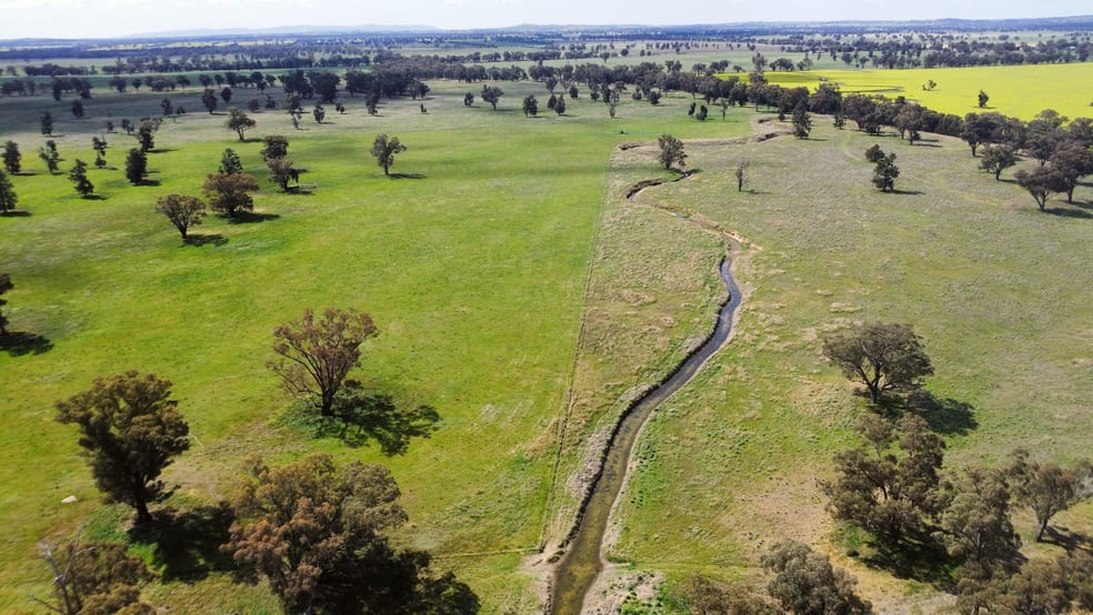 Click to view all images 1843 Yeo Yeo Hampstead Road Young NSW 2594 - Image 2