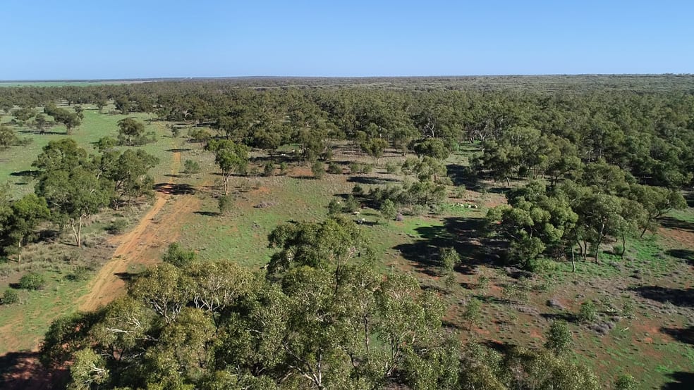Click to view all images 7024 Mulya Road Cobar NSW 2835 - Image 2