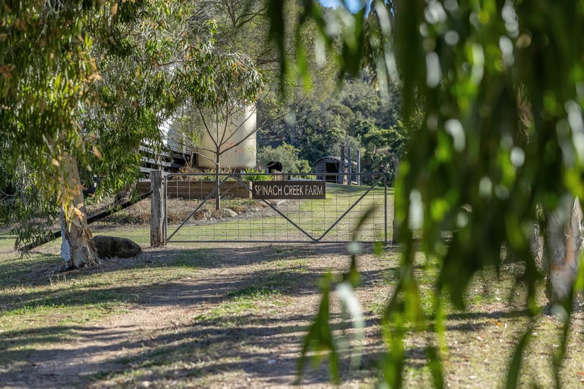 Click to view all images 61 Spinnach Creek Road Fordsdale QLD 4343 - Image 1