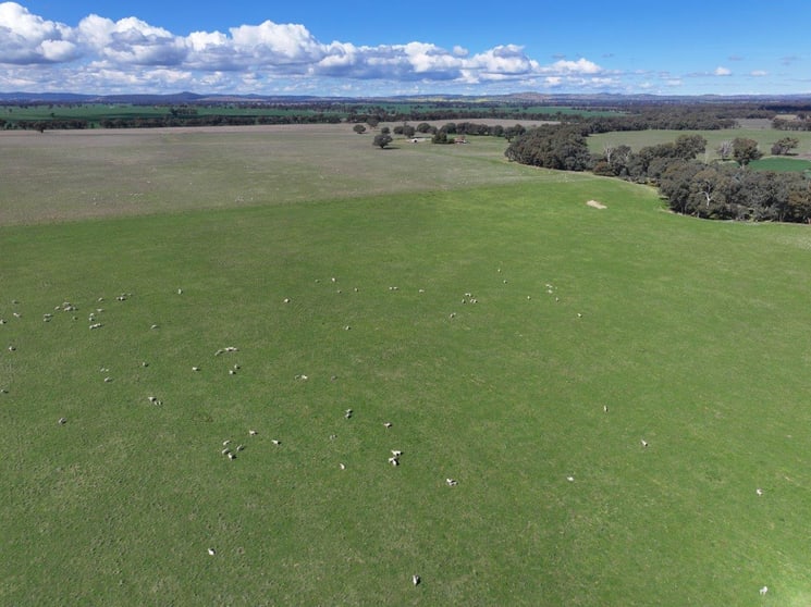 Click to view all images 'Runnymede' 214 Milvale Rd Stockinbingal NSW 2725 - Image 1