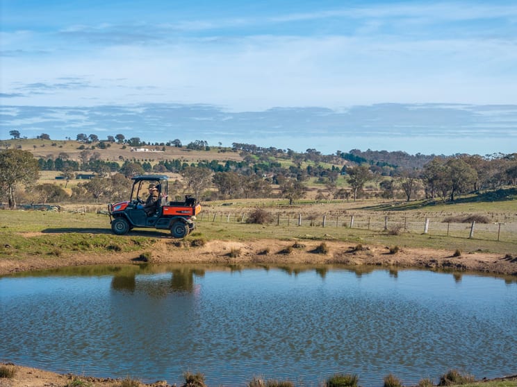 Click to view all images "Runnymede" 186 Mundays Lane Murrumbateman NSW 2582 - Image 3