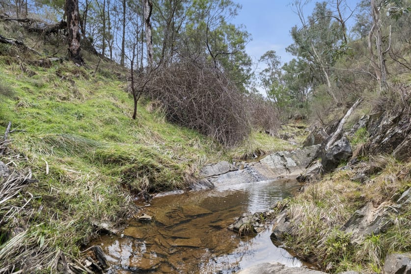 Click to view all images 1496 Middle Arm Road Goulburn NSW 2580 - Image 2