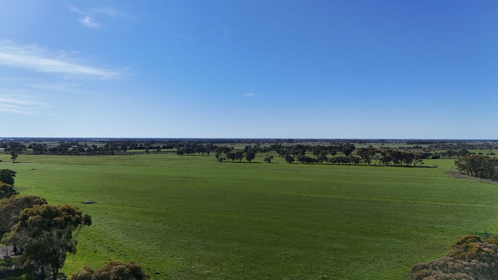 Click to view all images 00 Mansfields Bridge Road Leitchville VIC 3567 - Image 1