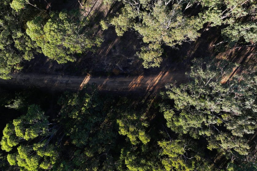Click to view all images 524 Hanging Rock Road Sutton Forest NSW 2577 - Image 2