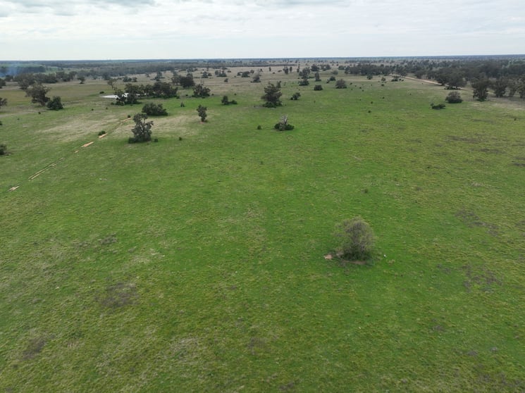 Click to view all images Thornleigh on McLeod 857 Trangie Dandaloo Road Trangie NSW 2823 - Image 3