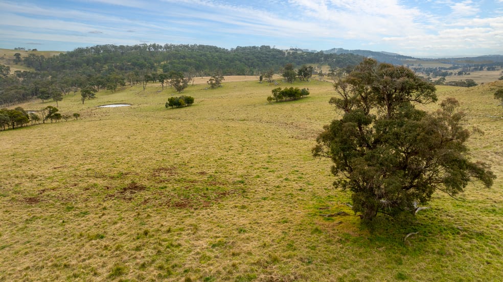 Click to view all images 4248 Pinkett Road Red Range NSW 2370 - Image 3