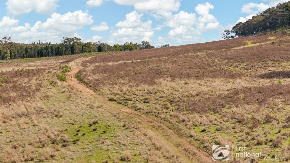 Click to view all images 189 Montaza Road Gulgong NSW 2852 - Image 3