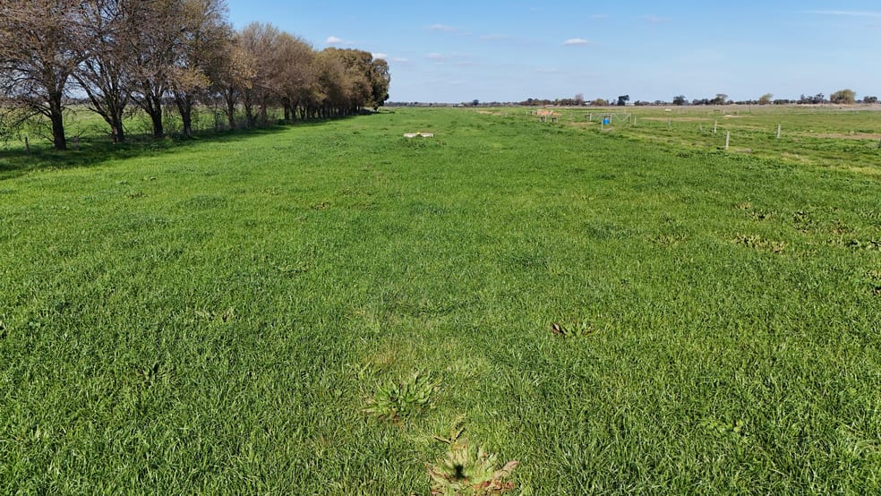 Click to view all images 00 Kennedys Road Cohuna VIC 3568 - Image 3