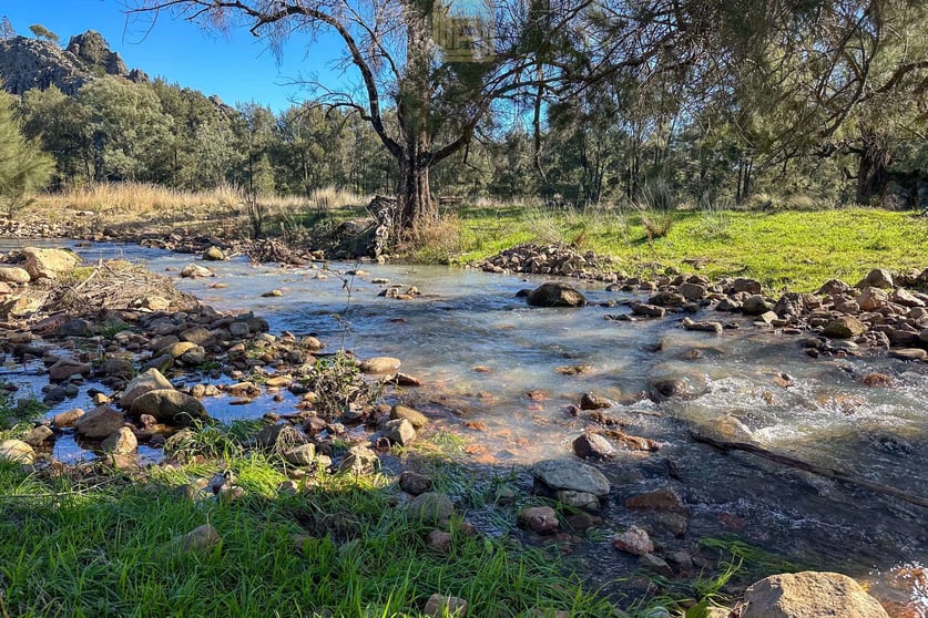 Click to view all images DARTHULA Pound Creek Road Rocky Creek NSW 2390 - Image 2