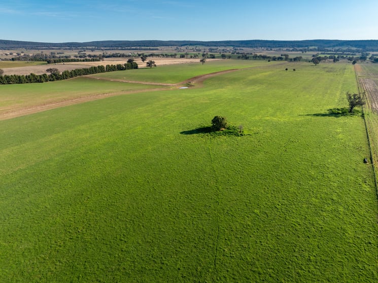 Click to view all images 501 Mandagery Road Mandagery NSW 2870 - Image 3