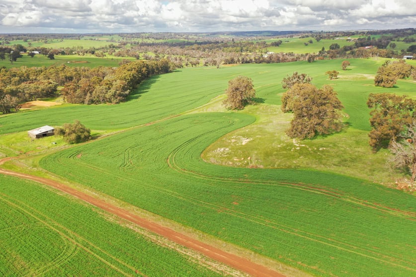 Click to view all images Lots 1566 Boyup Brook-Arthur Road Dinninup WA 6244 - Image 2