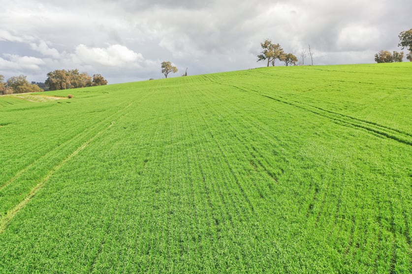Click to view all images Lots 1566 Boyup Brook-Arthur Road Dinninup WA 6244 - Image 3