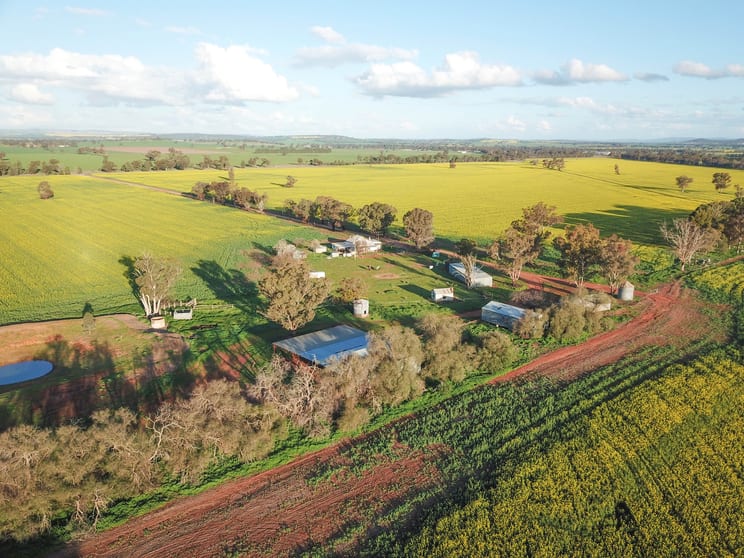 Click to view all images 185 Marrar South Road Downside NSW 2650 - Image 1
