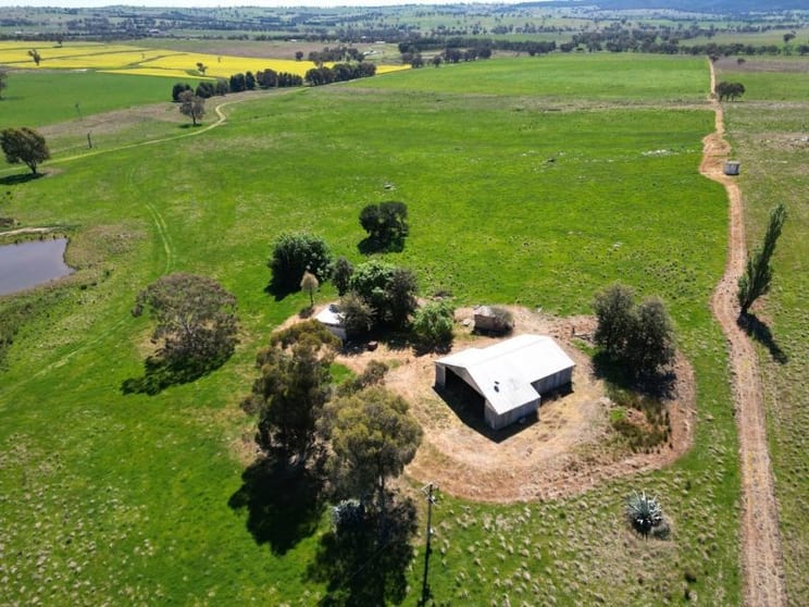 Click to view all images 443 Wirrimah Road,Bendick Murrell Wirrimah NSW 2803 - Image 1